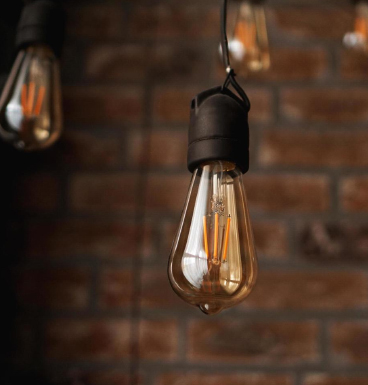Quid sunt insultus lampadis altae lauri bulbi in diversis ambitibus?